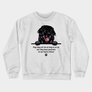 Dogs may not live as long as we do, but they leave pawprints  on our hearts forever Crewneck Sweatshirt